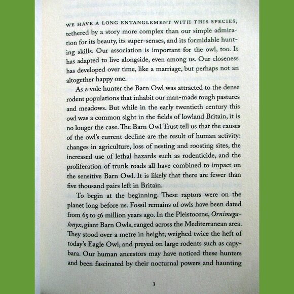 Book - The Wise Hours: A Journey into the Wild and Secret World of Owls - Picture 8 of 15